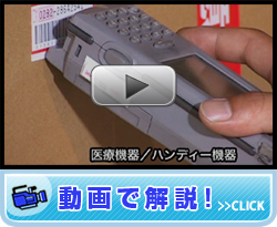 動画で解説!